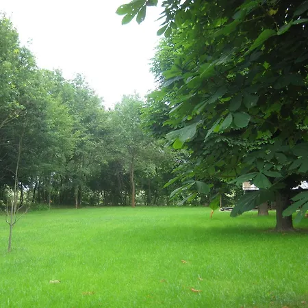 Maison Spacieuse A Avec Jardin Cloture * Sermersheim